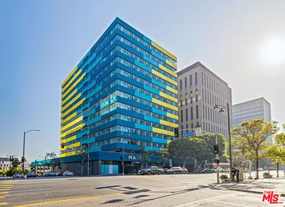 3325 S Wilshire blvd 1007