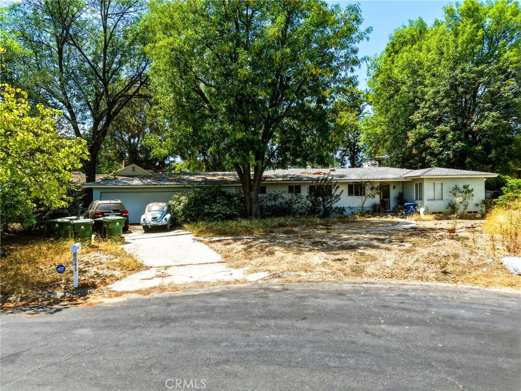 Interior 1