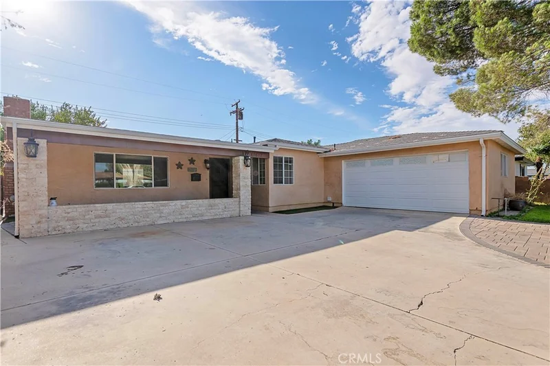 43617 Fern photo 2