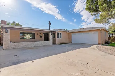 43617 Fern photo 2