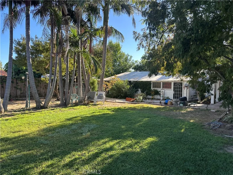 20744 Parthenia photo 2