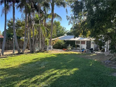 20744 Parthenia photo 2