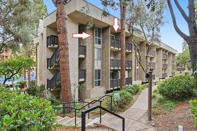 6202 Friars 301