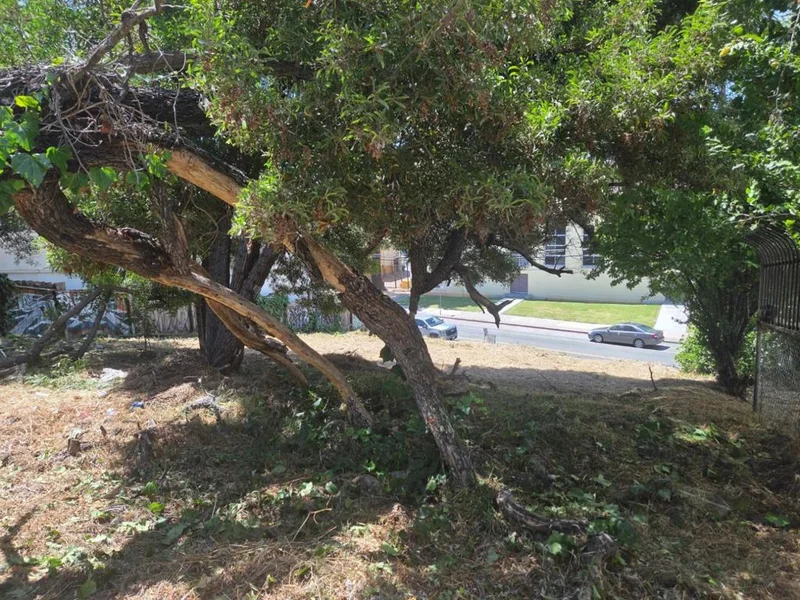 Photo 2 of 2120 35th Avenue
