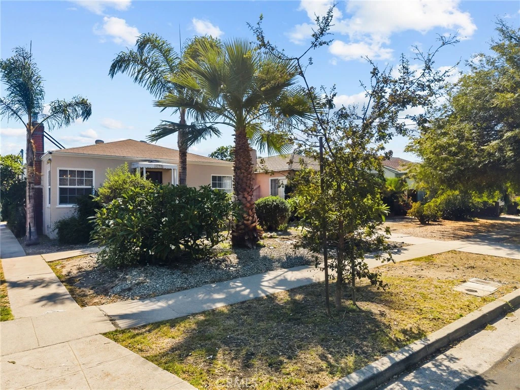 Interior 1