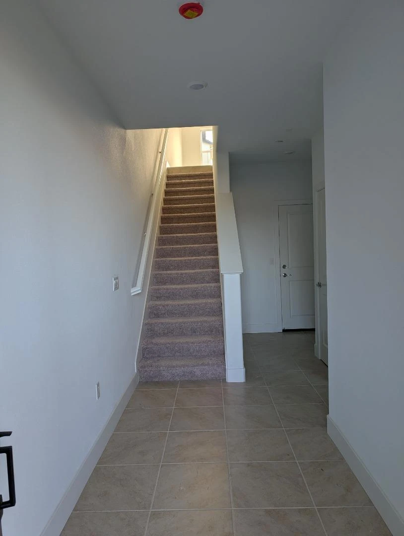 Interior 3