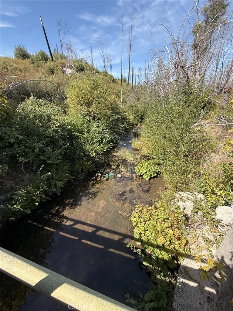 Interior 1