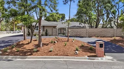 7831 Live Oak