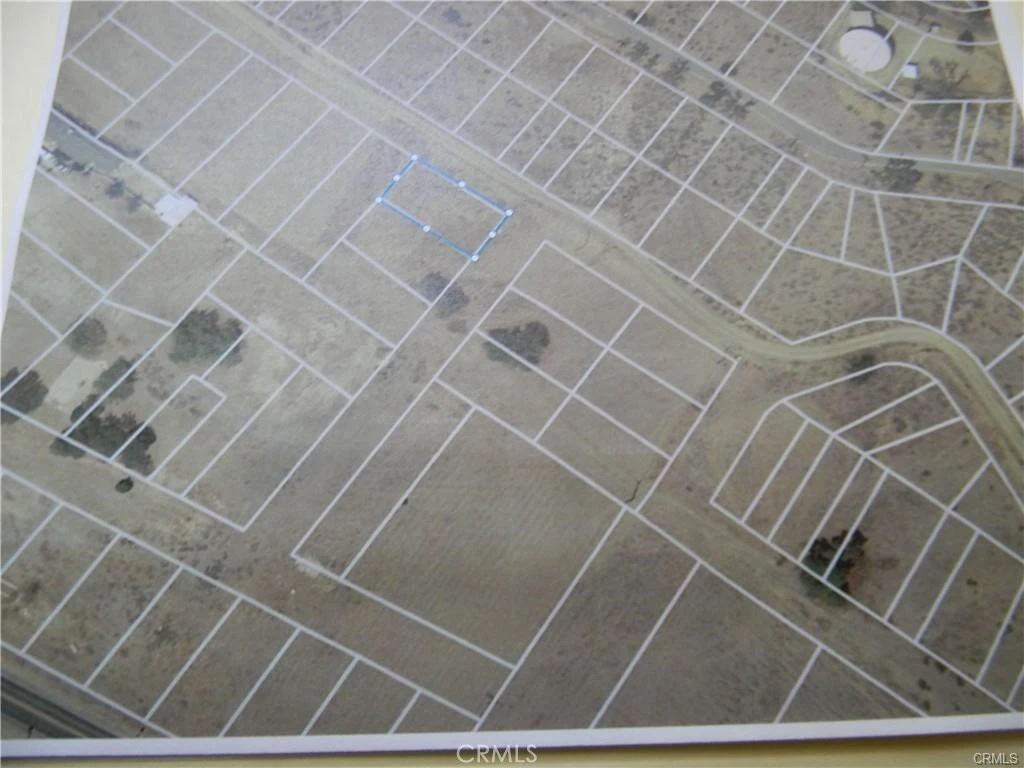 Interior 2