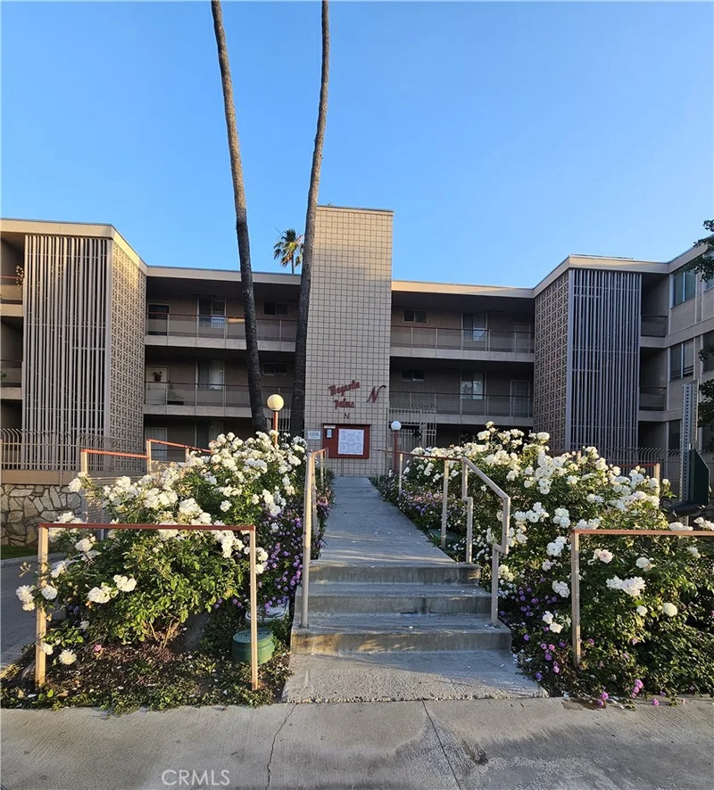 6979 Palm N141