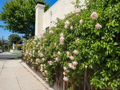3827 Madison photo 2