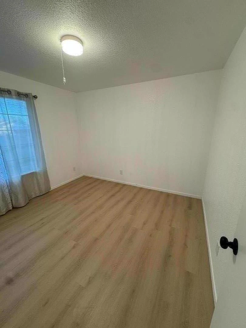 Interior 4
