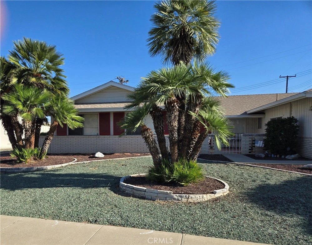 Main