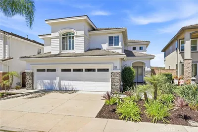 37 Rockrose