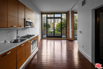 460 S Spring Street 205 photo 2