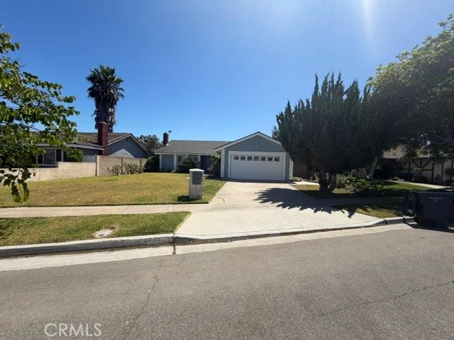 9808 Sturgeon