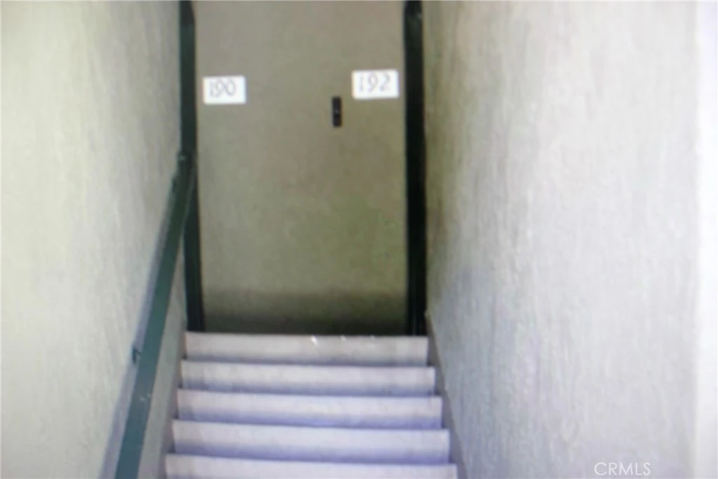 Interior 4