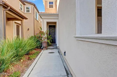 1951 Tangelo Way