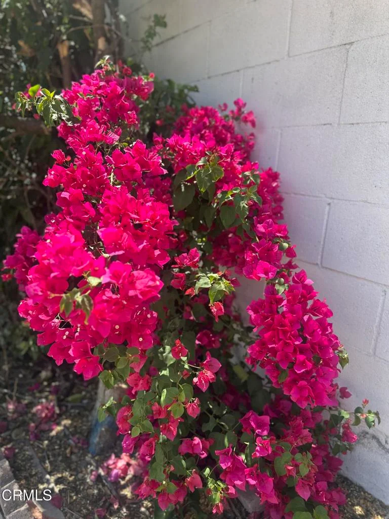 Photo 2 of 102 W Poppyfields Drive