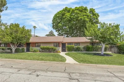 3495 Camellia Drive