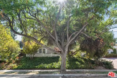 5824 Laramie Avenue photo 2