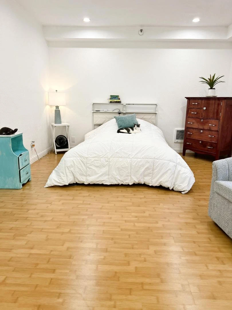 Interior 2