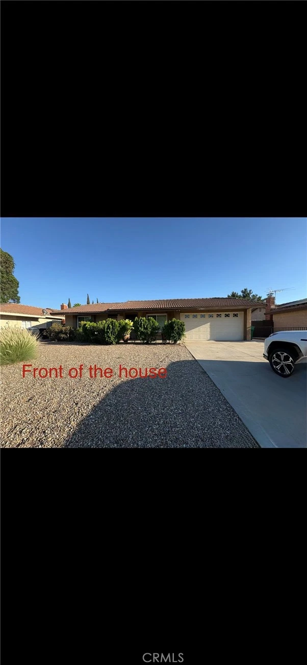 Interior 1