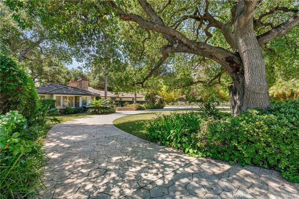 Main