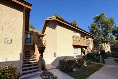 284 Tangelo photo 2