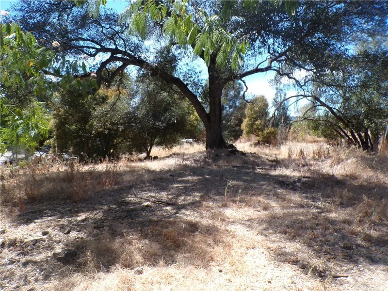 Photo 2 of 14176 Lupoyoma Street