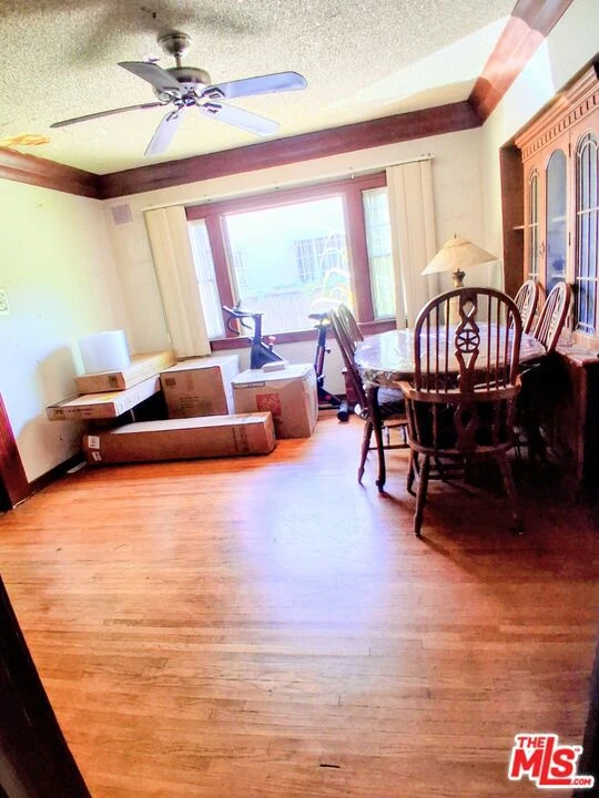 Interior 3