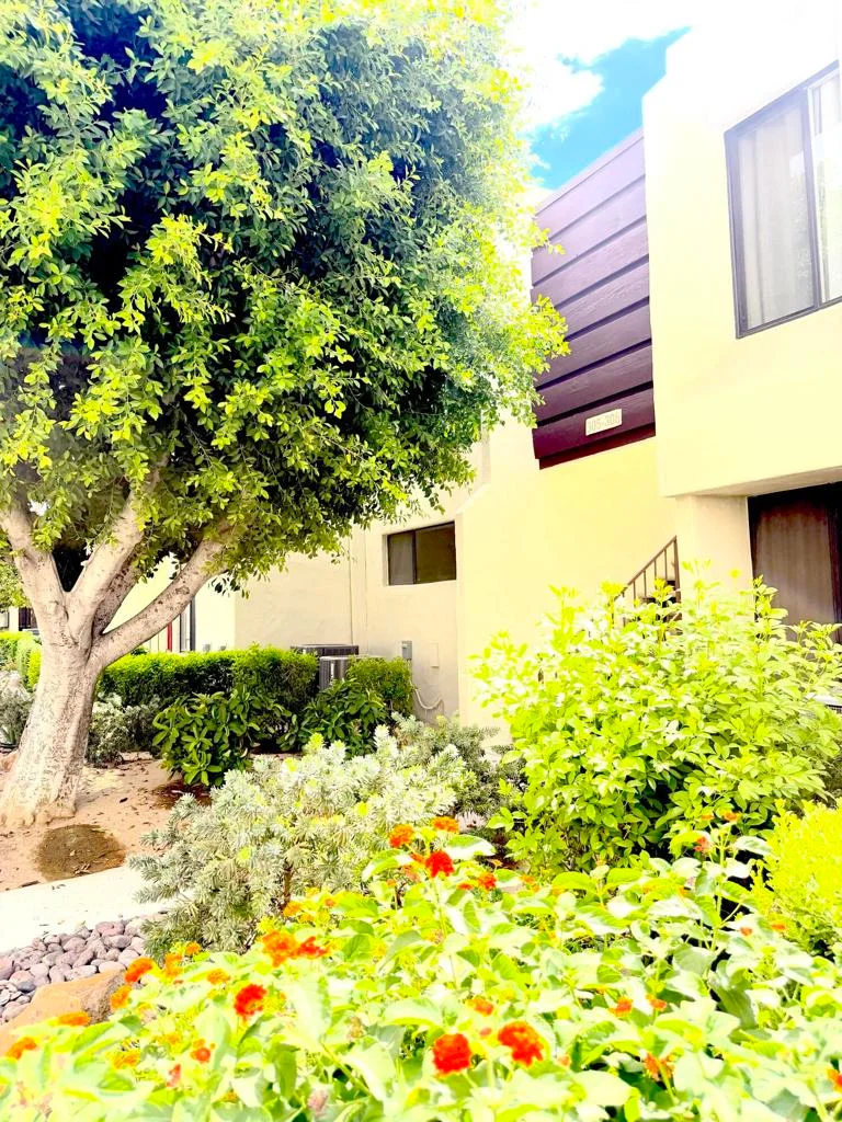 Photo 2 of 1655 E Palm Canyon Drive 307