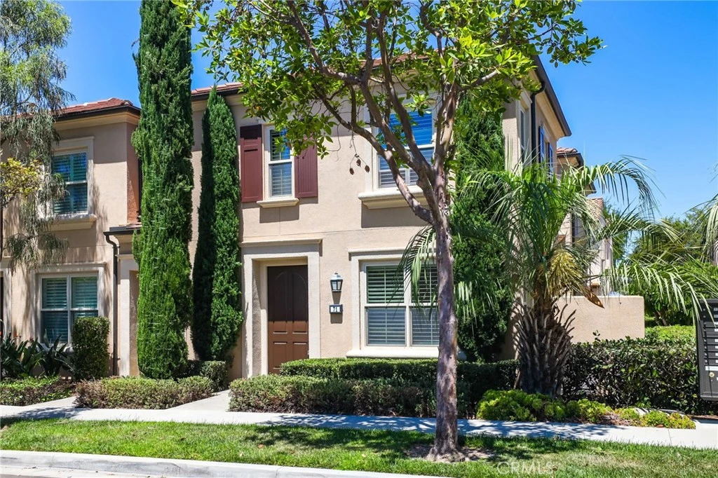 Main