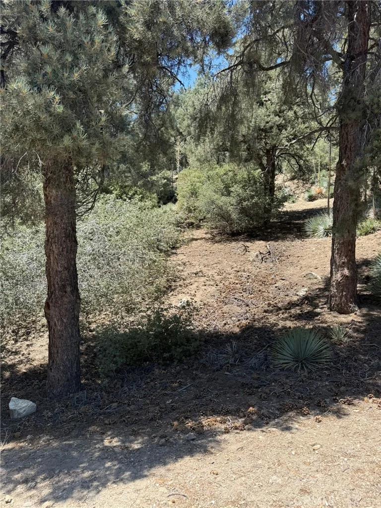 Photo 2 of 2413 Cedarwood Drive
