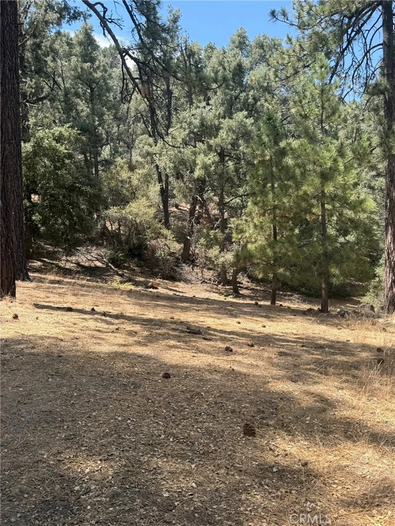Photo 2 of 2019 Freeman
