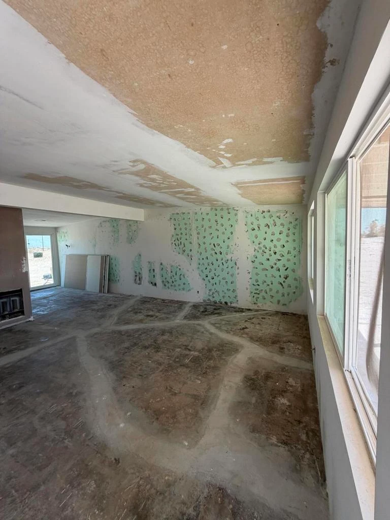 Interior 2