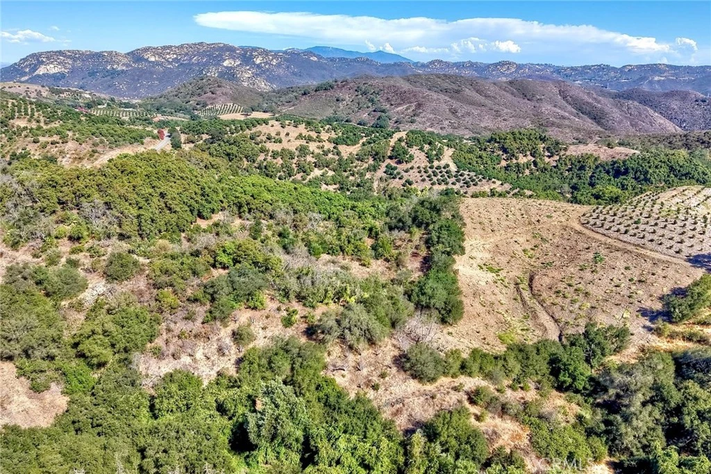Interior 1