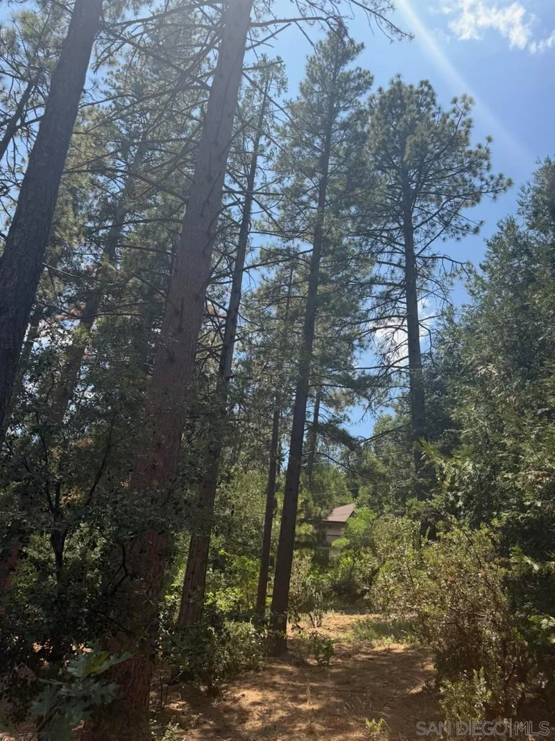 Photo 2 of 0 Big Pine