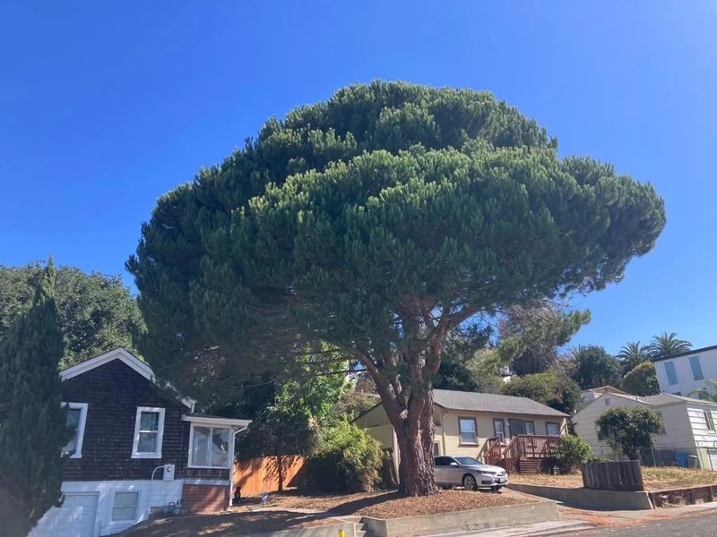 Photo 2 of 104 Wilson Avenue