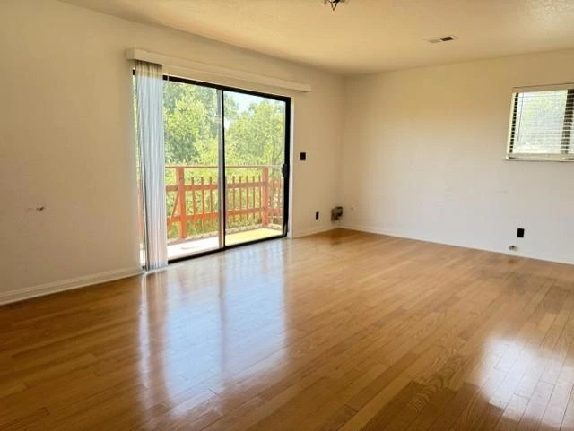 Interior 4