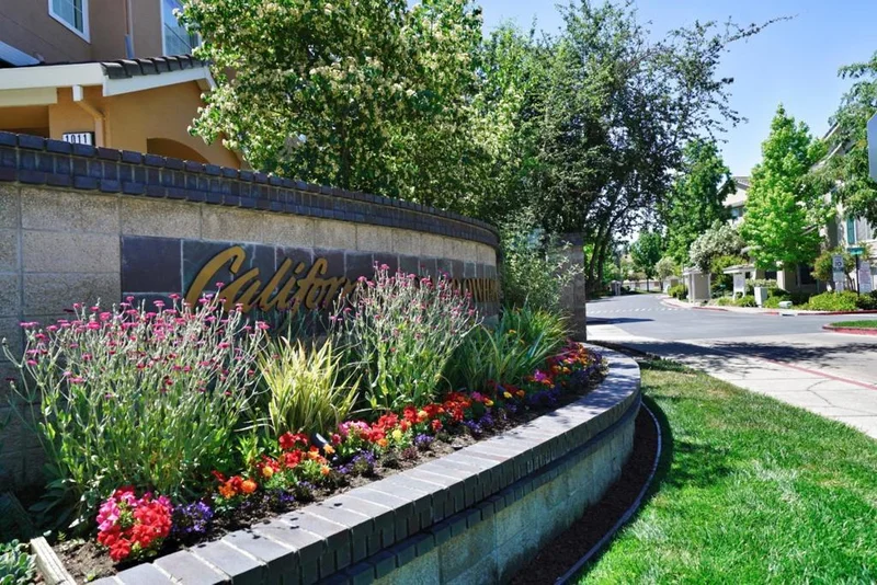 1028 Phoenix, Danville, CA 94506