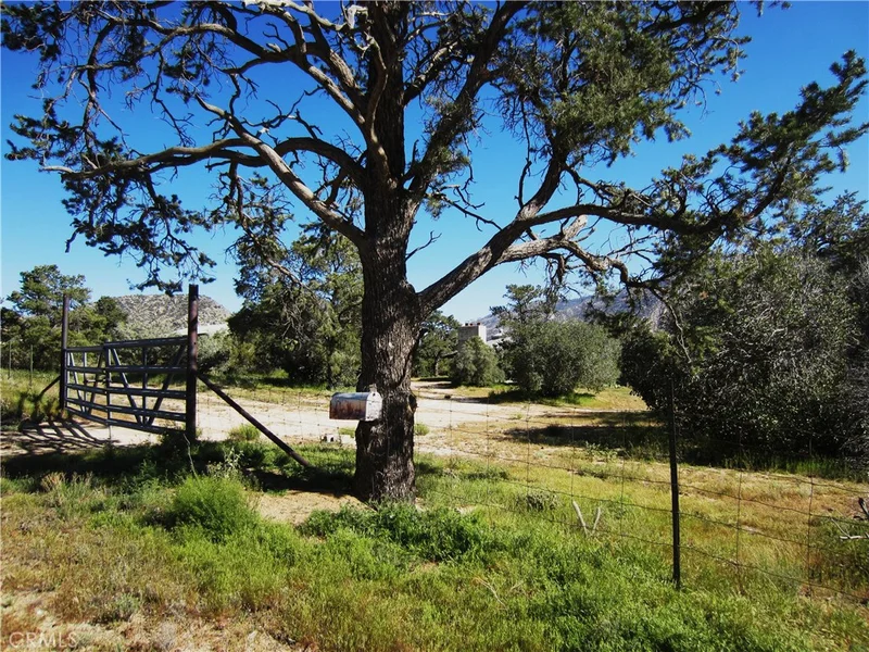 63100 Santa Rosa, Mountain Center, CA 92561