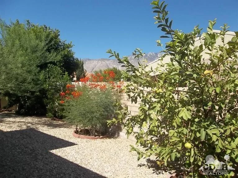 3001 Sunflower, Palm Springs, CA 92262