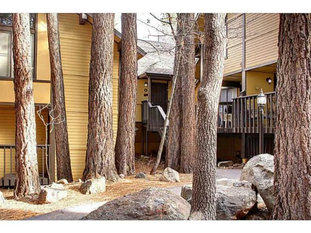 41935 Switzerland #61, Big Bear, CA 92315