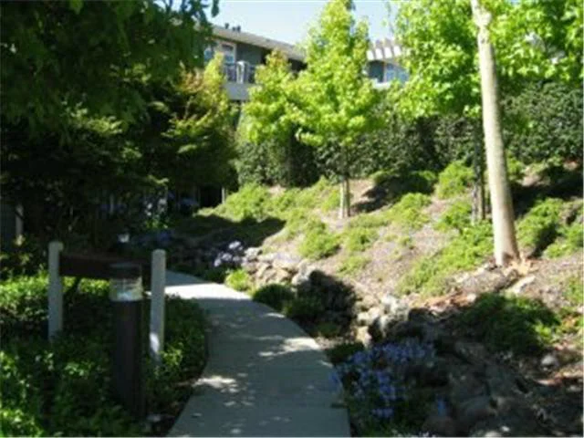 113 Crescent, Brisbane, CA 94005