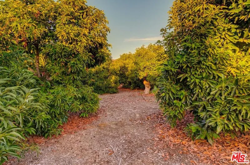 1148 Mcnell, Ojai, CA 93023