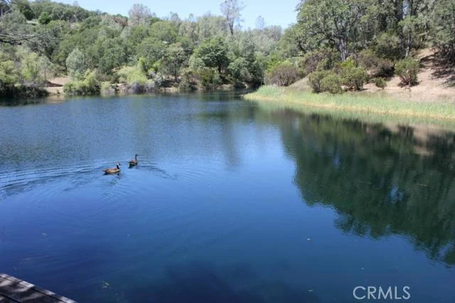 11767 Candy, Lower Lake, CA 95457