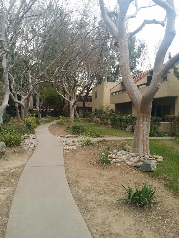 300 Tradewinds Drive 2, San Jose, CA 95123