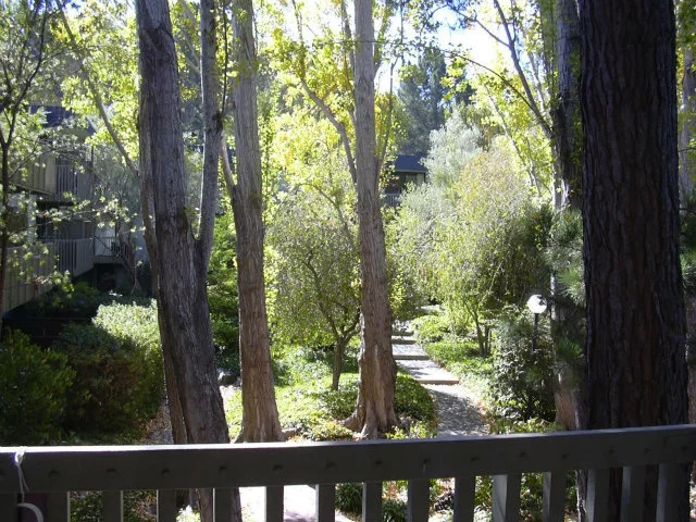 5246 Shelter Creek, San Bruno, CA 94066