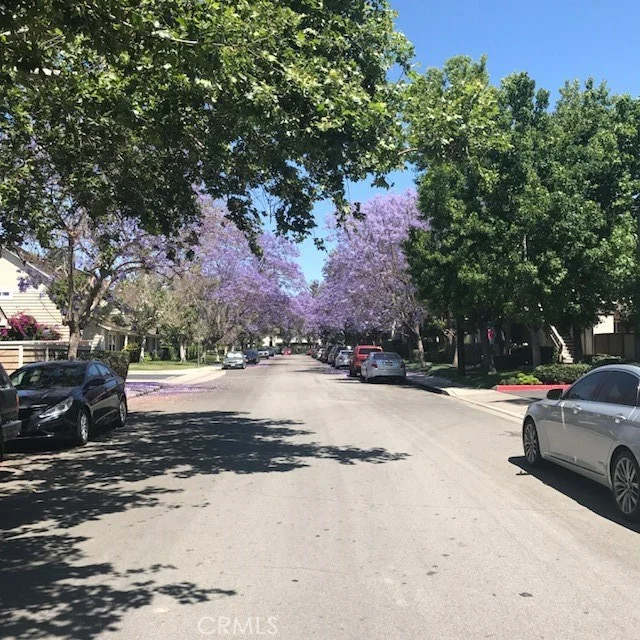 3 Fieldflower, Irvine, CA 92614